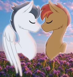 Size: 512x540 | Tagged: safe, artist:adamsadopts, artist:doodleponyxx, button mash, rumble, earth pony, pegasus, pony, g4, base used, boop, eyes closed, field, flower, gay, male, noseboop, older, older button mash, older rumble, ship:rumblemash, shipping, sky, stallion