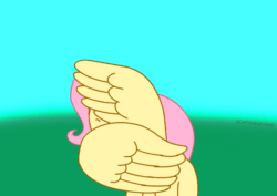 Size: 680x482 | Tagged: source needed, useless source url, safe, artist:katorvino, fluttershy, g4, animated, commission, female, gif, hiding behind wing, scared, wing hands, wings