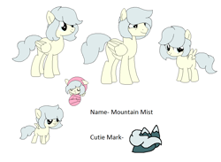 Size: 1108x810 | Tagged: safe, artist:dudleybrittany1399, artist:selenaede, oc, oc only, oc:mountain mist (ice1517), pegasus, pony, icey-verse, baby, baby pony, base used, eyes closed, female, filly, magical lesbian spawn, male, mare, offspring, parent:misty fly, parent:surprise, parents:mistyprise, raised hoof, reference sheet, rule 63, simple background, solo, stallion, white background