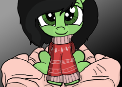 Size: 2100x1500 | Tagged: safe, artist:anon3mous1, oc, oc:filly anon, earth pony, human, pony, christmas, christmas sweater, clothes, cute, female, filly, holding a pony, holiday, sweater