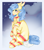 Size: 2647x2999 | Tagged: safe, artist:themstap, oc, oc only, oc:duckie, earth pony, pony, :p, blushing, clothes, high res, mlem, scarf, silly, simple background, socks, solo, stockings, thigh highs, tongue out