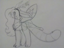 Size: 1024x768 | Tagged: safe, artist:calibykitty, oc, oc only, draconequus, pony, next generation, solo, traditional art