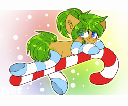 Size: 2400x2000 | Tagged: safe, artist:etoz, oc, oc only, oc:oasis, earth pony, pony, big eyes, blushing, candy, candy cane, clothes, commission, cute, earth pony oc, eyebrows, eyebrows down, female, food, gradient background, happy, high res, mare, smiling, socks, solo, stockings, striped socks, sugar cane, thigh highs, wingding eyes, ych result