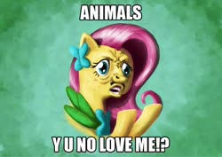 Size: 900x638 | Tagged: safe, artist:br0ny, fluttershy, pegasus, pony, g4, the best night ever, bust, caption, clothes, costume, dress, faic, female, gala dress, image macro, impact font, meme, solo, text, y u no