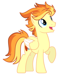 Size: 1021x1299 | Tagged: safe, oc, oc only, oc:freesurfer finn, pegasus, pony, male, raised hoof, simple background, solo, standing, transparent background, wings
