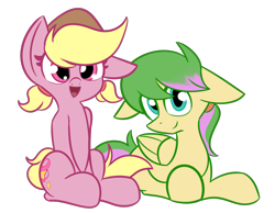 Size: 1550x1200 | Tagged: safe, artist:nevaylin, oc, oc only, oc:harmonic tune, oc:harmony star, earth pony, pegasus, pony, 2020 community collab, derpibooru community collaboration, cute, duo, harmonycon, hat, looking at you, lying down, male, simple background, sitting, transparent background