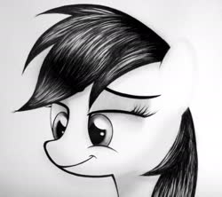Size: 1777x1581 | Tagged: source needed, safe, artist:names76, rainbow dash, pony, g4, bust, female, monochrome, sketch, solo