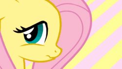 Size: 800x450 | Tagged: safe, artist:stoic5, artist:tiarawhy, fluttershy, pegasus, pony, pantsu.html, g4, abstract background, animated, blushing, cold, cute, explicit source, female, gif, headbob, imminent mooning, looking at you, looking back, mare, nervous, questionable source, scrunchy face, show accurate, shyabetes, solo, striped background, suggestive source, tongue out
