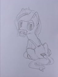 Size: 3024x4032 | Tagged: safe, artist:ldj, oc, oc:aspen, pony, clothes, diaper, diaper fetish, fetish, looking at you, looking back, looking back at you, non-baby in diaper, overalls, pacifier, solo, traditional art