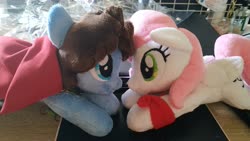 Size: 4000x2250 | Tagged: safe, artist:gingerale2016, oc, oc only, oc:bizarre song, oc:sugar morning, pegasus, pony, cape, clothes, couple, cute, female, irl, male, mare, photo, plushie, stallion