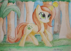 Size: 3390x2458 | Tagged: safe, artist:0okami-0ni, oc, oc only, oc:nancy, pony, unicorn, forest, high res, solo, traditional art
