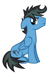 Size: 1125x1650 | Tagged: safe, artist:the smiling pony, oc, oc only, oc:repentant anon, pegasus, pony, 2020 community collab, derpibooru community collaboration, g4, .svg available, floppy ears, folded wings, frown, grumpy, looking at you, male, simple background, sitting, solo, stallion, svg, transparent background, vector, wings