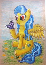 Size: 2473x3464 | Tagged: safe, artist:0okami-0ni, oc, oc only, butterfly, pony, high res, solo, traditional art