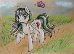 Size: 2630x1915 | Tagged: safe, artist:0okami-0ni, oc, oc only, butterfly, pony, field, solo, traditional art