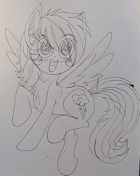 Size: 2764x3481 | Tagged: safe, rainbow dash, pegasus, pony, g4, female, high res, solo, traditional art
