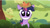 Size: 637x362 | Tagged: safe, edit, edited screencap, editor:undeadponysoldier, screencap, twilight sparkle, bird, pony, unicorn, g4, lesson zero, my little pony: friendship is magic, season 2, adoracreepy, creepy, cute, face swap, female, looking at you, mare, nest, smiling, twilight snapple, unicorn twilight