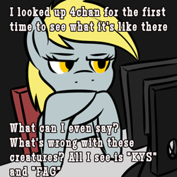 Size: 1024x1024 | Tagged: artist needed, source needed, safe, derpy hooves, pegasus, pony, g4, 4chan, are you serious, computer screen, female, mare, meme, mouthpiece, normies, text, unamused, what's wrong with this place