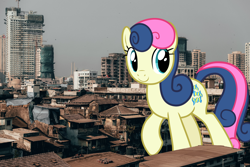 Size: 2400x1600 | Tagged: safe, artist:frownfactory, artist:thegiantponyfan, bon bon, sweetie drops, earth pony, pony, g4, female, giant pony, giantess, highrise ponies, india, irl, macro, mare, mumbai, photo, ponies in real life, town