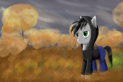 Size: 3000x2000 | Tagged: safe, artist:0okami-0ni, oc, oc only, pony, clothes, high res, hoodie, rain, solo