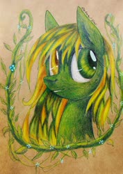 Size: 2636x3725 | Tagged: safe, artist:0okami-0ni, oc, oc only, pony, bust, high res, solo, traditional art