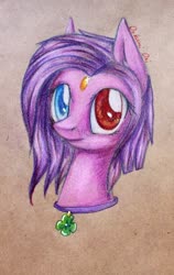 Size: 2427x3842 | Tagged: safe, artist:0okami-0ni, oc, oc only, pony, amulet, bust, clover, high res, jewelry, solo, traditional art