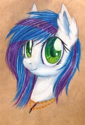 Size: 2319x3401 | Tagged: safe, artist:0okami-0ni, oc, oc only, pony, bust, high res, jewelry, necklace, solo, traditional art