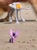 Size: 1280x1707 | Tagged: safe, artist:dingopatagonico, twilight sparkle, alicorn, dog, pony, g4, at-at, irl, photo, star wars, toy, twilight sparkle (alicorn)