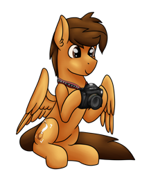 Size: 4230x4644 | Tagged: safe, artist:sevenserenity, oc, oc only, oc:toanderic, pegasus, pony, 2020 community collab, derpibooru community collaboration, camera, male, simple background, sitting, solo, stallion, transparent background