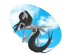 Size: 1600x1164 | Tagged: safe, artist:whitewing1, oc, oc only, oc:sparrow wings, pegasus, pony, female, mare, simple background, solo, transparent background