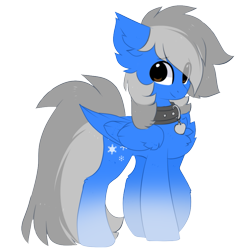 Size: 883x905 | Tagged: safe, artist:php146, oc, oc only, oc:betting snow, pegasus, pony, 2020 community collab, derpibooru community collaboration, blue coat, chest fluff, collar, gradient hooves, male, simple background, solo, transparent background, two toned mane