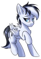 Size: 900x1300 | Tagged: safe, artist:ravistdash, derpibooru exclusive, oc, oc:skyshade, pegasus, pony, 2020 community collab, derpibooru community collaboration, looking at you, male, simple background, solo, standing, transparent background
