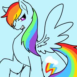 Size: 1000x1000 | Tagged: safe, artist:danbourumikan, rainbow dash, pegasus, pony, g4, female, grin, hair over one eye, mare, smiling, solo