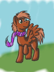 Size: 960x1280 | Tagged: safe, artist:bryastar, oc, oc only, oc:frenz, pegasus, pony, clothes, looking up, scarf, simple background, solo