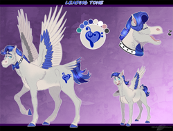 Size: 1421x1079 | Tagged: safe, artist:bijutsuyoukai, oc, oc only, oc:leading tone, pegasus, pony, bowtie, male, offspring, parent:octavia melody, parent:spearhead, reference sheet, solo, stallion, tail feathers