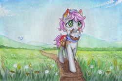 Size: 3000x2000 | Tagged: safe, artist:0okami-0ni, oc, oc only, pony, basket, flower, high res, path, picnic basket, scenery, solo, traditional art
