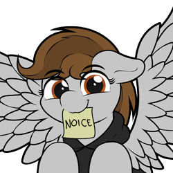 Size: 2160x2160 | Tagged: safe, artist:ljdamz1119, oc, oc only, oc:penny page, pegasus, pony, clothes, female, floppy ears, high res, hoodie, looking at you, mare, mouth hold, noice, note, simple background, smiling, solo, spread wings, transparent background, wings