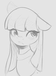 Size: 660x899 | Tagged: safe, artist:tre, maud pie, earth pony, pony, g4, bust, female, floppy ears, frock coat, gray background, grayscale, looking sideways, looking to the right, looking up, mare, monochrome, simple background, sketch, solo