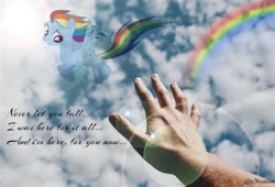Size: 1100x750 | Tagged: safe, artist:z3bradan, rainbow dash, human, pegasus, pony, g4, ..., afterlife, cloud, duo, female, human male, lens flare, male, mare, offscreen character, pov, quote, rainbow, sky, wallpaper