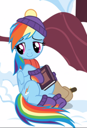 Size: 638x939 | Tagged: safe, screencap, rainbow dash, pegasus, pony, g4, tanks for the memories, book, clothes, cropped, cute, dashabetes, female, lidded eyes, mare, saddle bag, sitting, smiling, solo, winter outfit