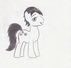 Size: 458x438 | Tagged: safe, oc, oc only, oc:en passant, pony, male, simple background, solo, stallion