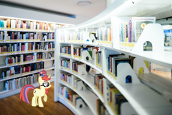 Size: 1957x1306 | Tagged: safe, artist:luckreza8, moondancer, pony, unicorn, g4, book, bookshelf, female, glasses, irl, library, photo, ponies in real life, solo