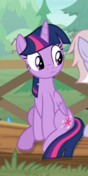 Size: 344x684 | Tagged: safe, screencap, twilight sparkle, alicorn, pony, g4, the point of no return, cropped, cute, female, fence, offscreen character, sitting, solo focus, tree, twiabetes, twilight sparkle (alicorn)