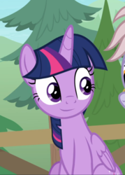Size: 608x850 | Tagged: safe, screencap, twilight sparkle, alicorn, pony, g4, the point of no return, cropped, female, fence, offscreen character, sitting, smiling, solo focus, tree, twilight sparkle (alicorn)