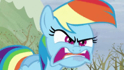 Size: 1280x720 | Tagged: safe, edit, edited screencap, screencap, rainbow dash, pegasus, pony, g4, tanks for the memories, animated, do i look angry, ear rape, explosion, female, mare, meme, ponyville, snow, solo, sound, triggered, webm