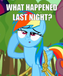 Size: 302x360 | Tagged: safe, edit, edited screencap, screencap, fluttershy, rainbow dash, twilight sparkle, g4, the return of harmony, animated, caption, confused, cropped, double entendre, female, gif, hoof on head, image macro, question, rope, solo focus, text