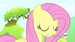 Size: 600x338 | Tagged: safe, screencap, fluttershy, pegasus, pony, g4, maud pie (episode), season 4, all new, animated, confluttershy, confused, female, gif, hub logo, solo, text
