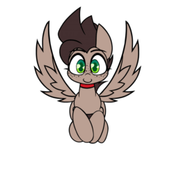Size: 2000x2000 | Tagged: safe, artist:nekro-led, part of a set, oc, oc only, oc:choco mocca, pegasus, pony, animated, collar, cute, flying, freckles, gif, high res, looking at you, loop, simple background, smiling, solo, white background, ych result