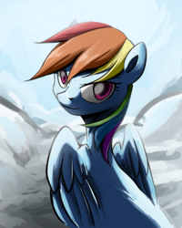 Size: 800x1000 | Tagged: safe, artist:ce2438, rainbow dash, pegasus, pony, g4, female, looking back, mare, rear view, solo