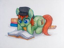 Size: 2048x1536 | Tagged: safe, artist:dawnfire, oc, oc only, earth pony, pony, book, hat, solo