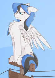 Size: 2538x3589 | Tagged: safe, artist:renderpoint, oc, oc only, oc:kezzie, pegasus, pony, behaving like a bird, chest fluff, female, high res, mare, partially open wings, perching, power line, solo, telephone pole, wings